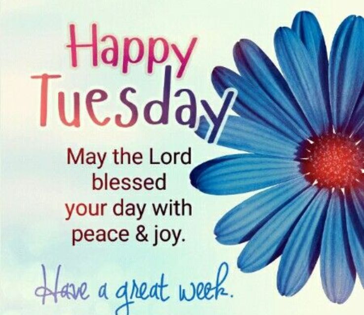 Cute Wishes for Tuesday