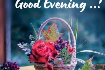 Good Evening Blessings