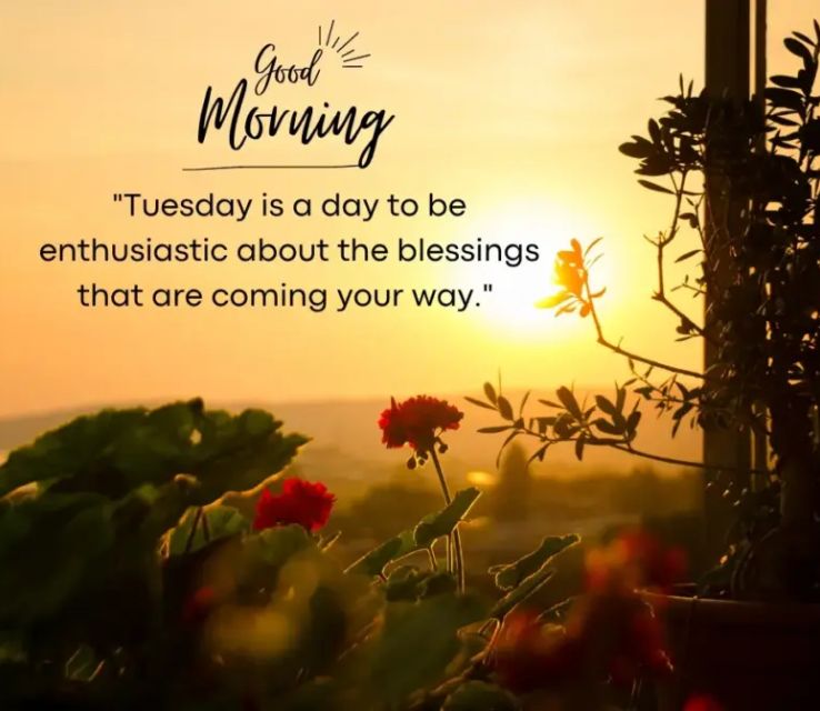 Good Morning Blessed Tuesday