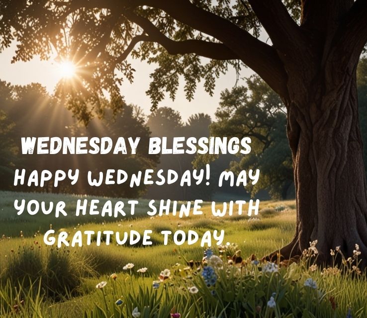 Happy Wednesday Blessings