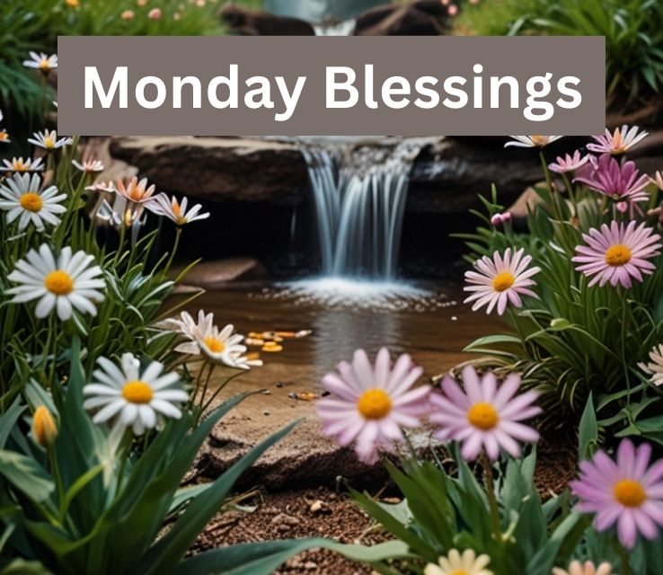 Monday Blessings