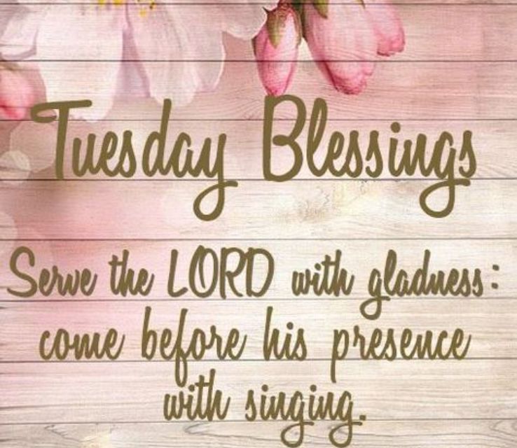 Positive Tuesday Blessings