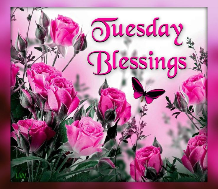 Tuesday Blessings