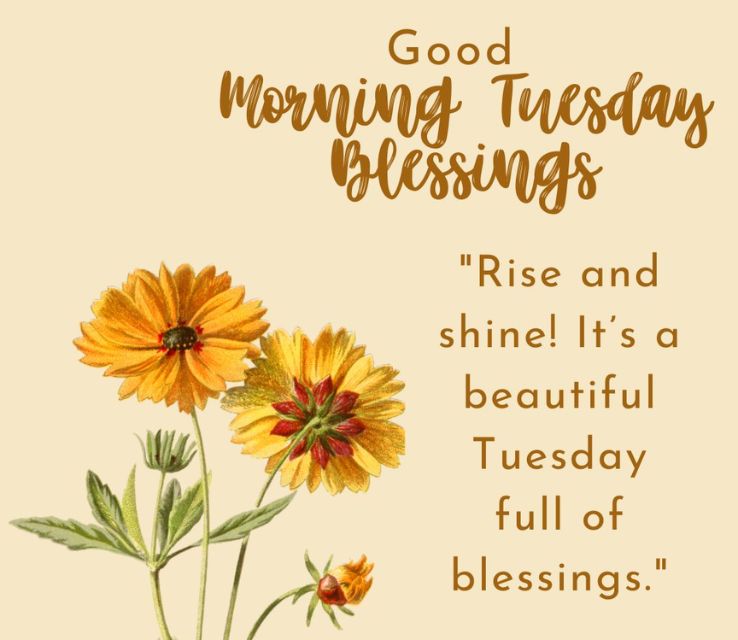 good morning tuesday blessings