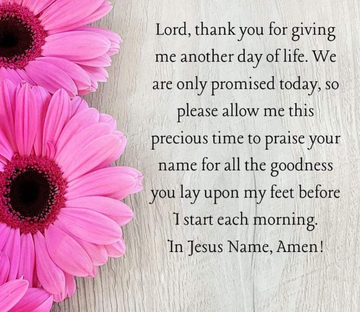 A Morning Prayer of Gratitude