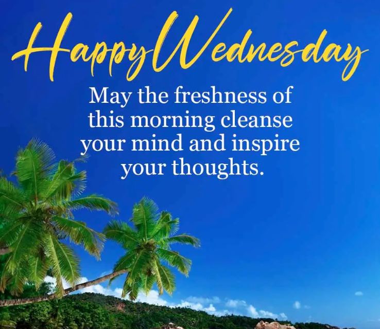 Happy Wednesday Quotes
