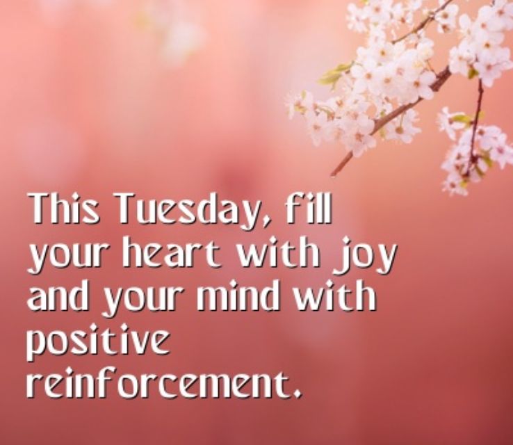 Tuesday Quote