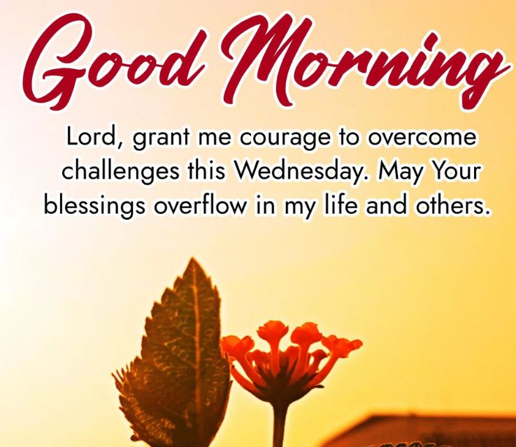 Wednesday morning PRAYER