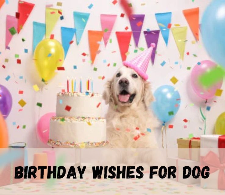 Birthday Wishes for Dog