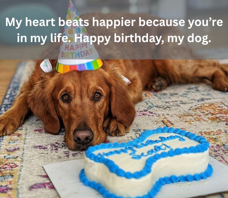 Cute Birthday Wishes for Puppies