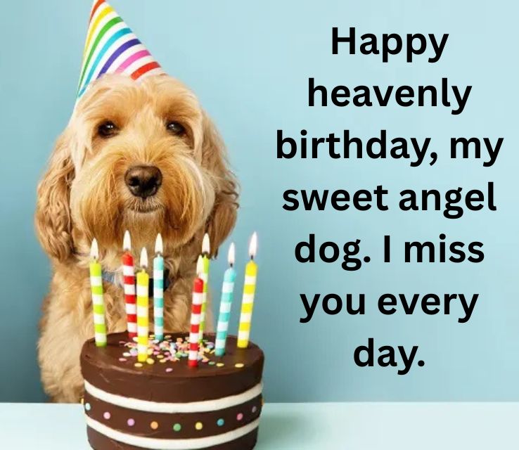 Heartwarming Birthday Wishes for Dogs