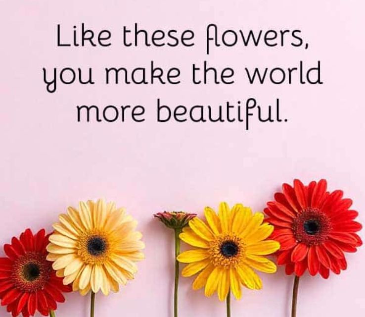 Just Because Wishes